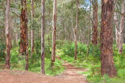Churchill Studios - Brisbane Tourism 8