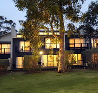 Margarets Forest - Brisbane Tourism