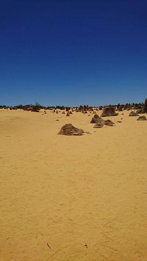 The Bothy Lancelin Family Retreat - Tourism Brisbane 35