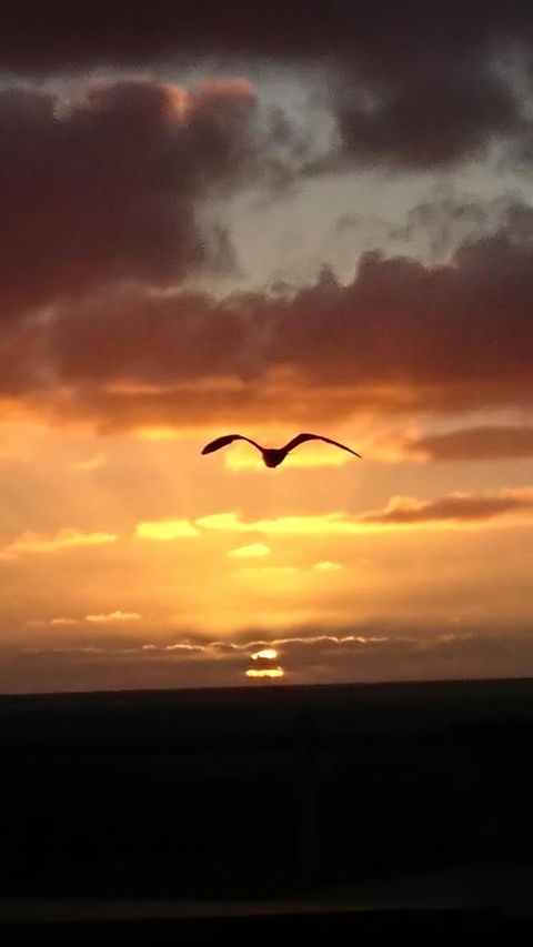 The Bothy Lancelin Family Retreat - Tourism Brisbane 28