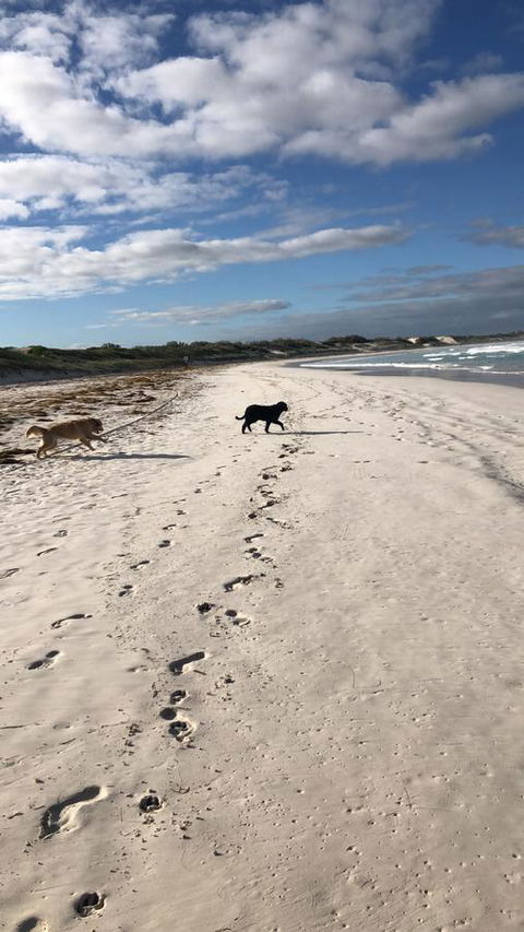 The Bothy Lancelin Family Retreat - Tourism Brisbane 30