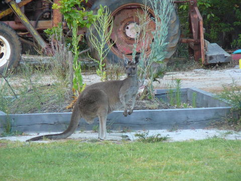 Nannup Bush Retreat - Tourism Brisbane 38