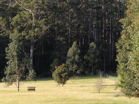 Big Brook Retreat - Tourism Brisbane 5