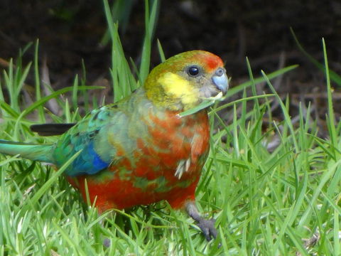 Big Brook Retreat - Tourism Brisbane 13