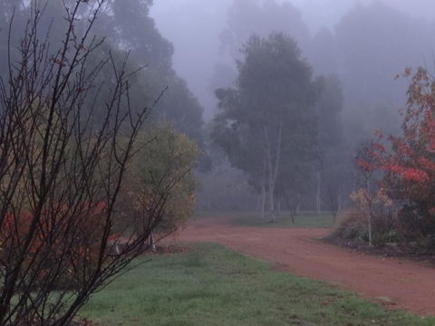 Big Brook Retreat - Tourism Brisbane 14