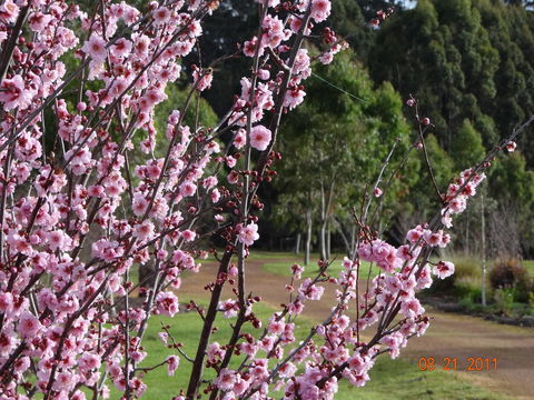 Big Brook Retreat - Tourism Brisbane 9