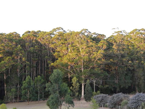 Big Brook Retreat - Tourism Brisbane 11