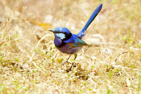 Yelverton Brook Conservation Sanctuary - Tourism Brisbane 23