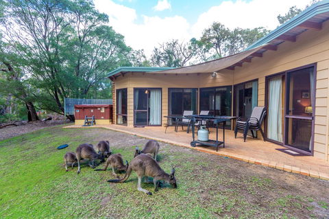 Yelverton Brook Conservation Sanctuary - Tourism Brisbane 18