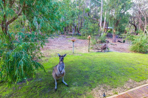 Yelverton Brook Conservation Sanctuary - Tourism Brisbane 11