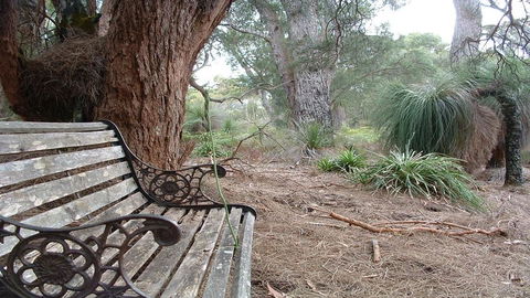 Yelverton Brook Conservation Sanctuary - Tourism Brisbane 42