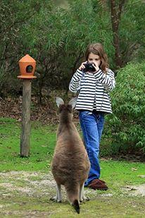 Yelverton Brook Conservation Sanctuary - Tourism Brisbane 39