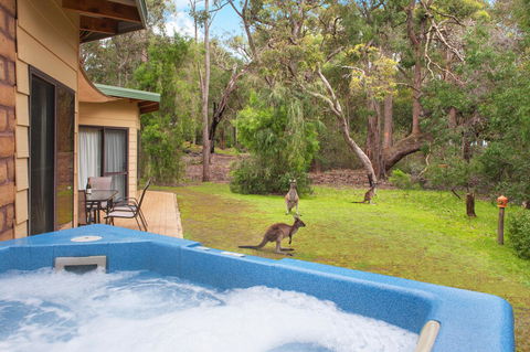 Yelverton Brook Conservation Sanctuary - Tourism Brisbane 9