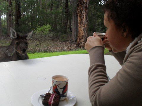 Yelverton Brook Conservation Sanctuary - Tourism Brisbane 44