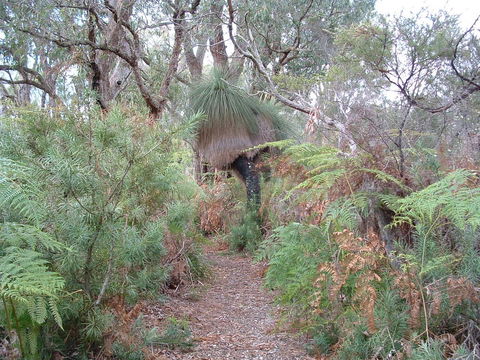 Yelverton Brook Conservation Sanctuary - Tourism Brisbane 41