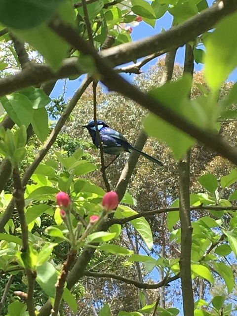 Tegwan's Nest Holiday Home - Tourism Brisbane 19