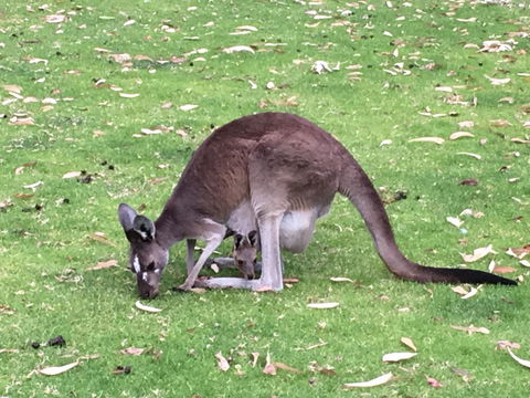 Tegwan's Nest Holiday Home - Tourism Brisbane 1