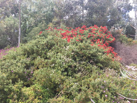 Tegwan's Nest Holiday Home - Tourism Brisbane 42