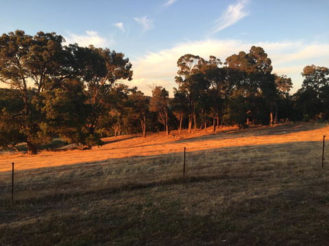 Tegwan's Nest Holiday Home - Tourism Brisbane 18