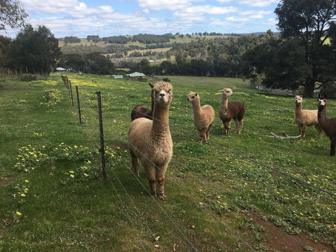 Tegwan's Nest Holiday Home - Tourism Brisbane 44