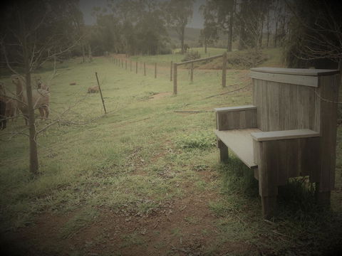 Tegwan's Nest Holiday Home - Tourism Brisbane 43