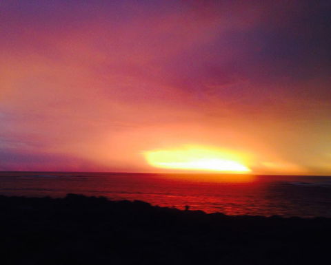 Studio Tramonto - Tourism Brisbane 10