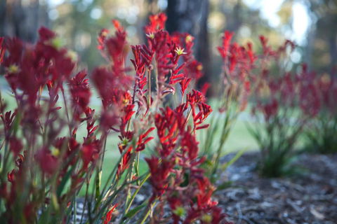 Amaroo Retreat & Spa - Tourism Brisbane 16