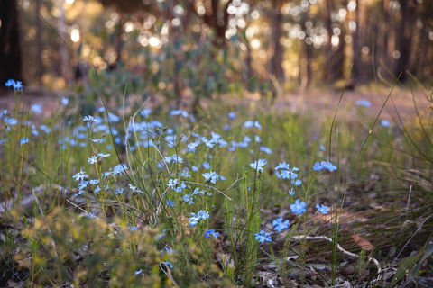 Amaroo Retreat & Spa - Tourism Brisbane 15