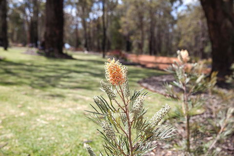 Amaroo Retreat & Spa - Tourism Brisbane 19