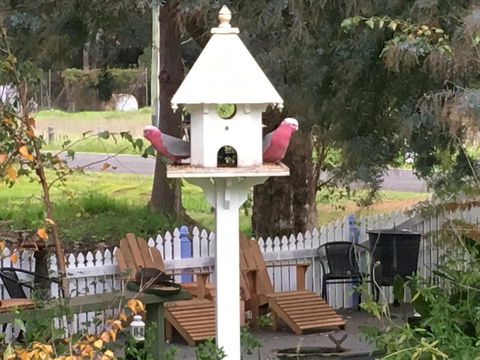 Applegate Lane Chalet - Tourism Brisbane 25
