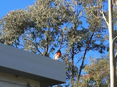 Applegate Lane Chalet - Tourism Brisbane 27