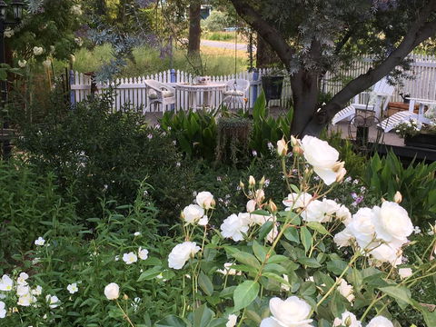 Applegate Lane Chalet - Tourism Brisbane 22