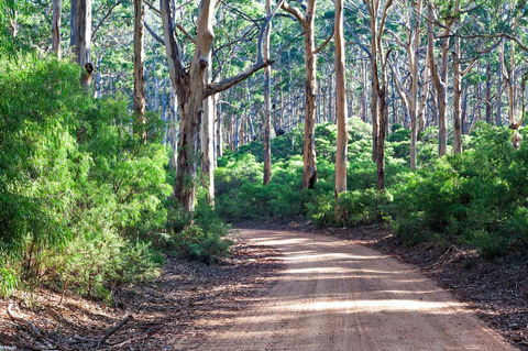 Margaret River Retreat - Tourism Brisbane 20