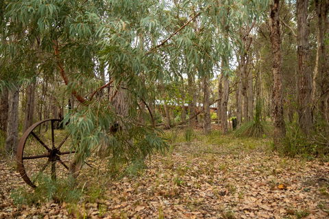 Denmark Forest Retreat - Tourism Brisbane 5