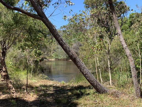 Denmark Forest Retreat - Tourism Brisbane 32