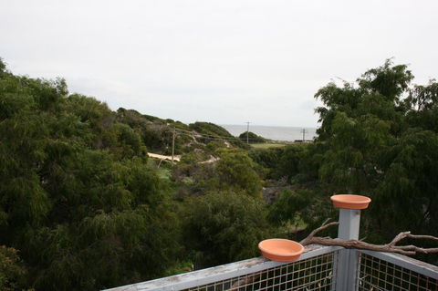 Peppy Beach Ocean Views - Tourism Brisbane 8