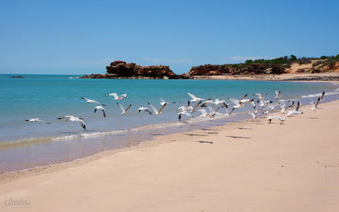 Apartments At Blue Seas Resort - Tourism Brisbane 25