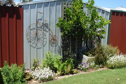Bluebird Cottage - Tourism Brisbane 26