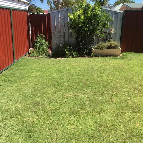 Bluebird Cottage - Tourism Brisbane 29
