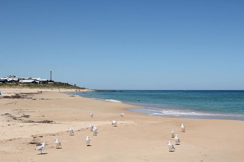 Bluebird Cottage - Tourism Brisbane 40