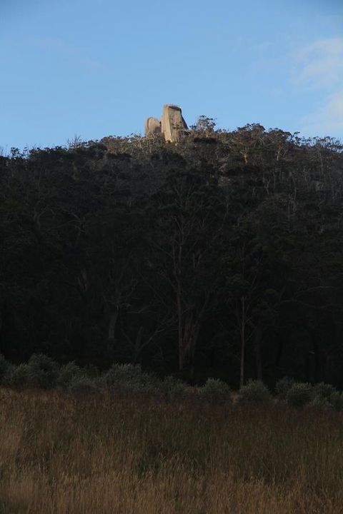 Tanen Farm - Tourism Brisbane 9