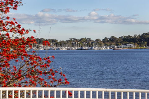 Como Executive Apartment - Tourism Brisbane 22