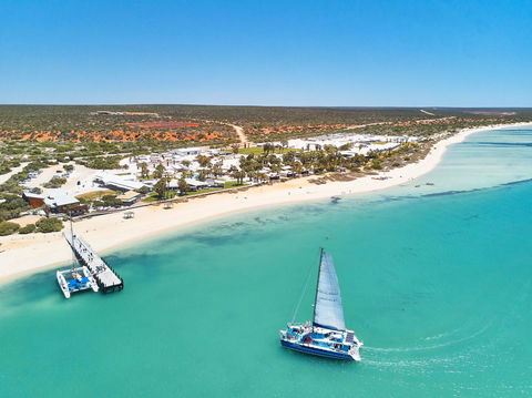 RAC Monkey Mia Dolphin Resort - Brisbane 4u 44