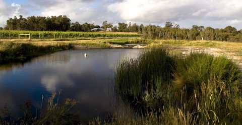 SilverSprings Spa Retreat Pet Friendly Cottages And Glampings - Tourism Brisbane 2
