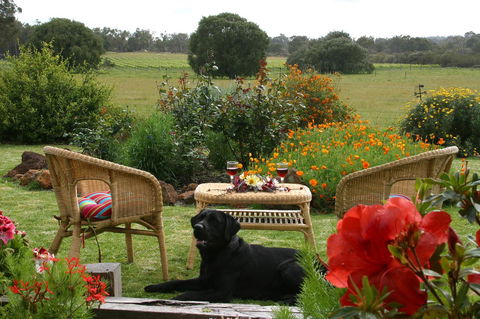 SilverSprings Spa Retreat Pet Friendly Cottages And Glampings - Tourism Brisbane 0