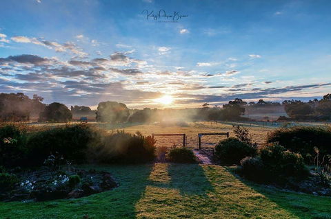 SilverSprings Spa Retreat Pet Friendly Cottages And Glampings - Tourism Brisbane 26