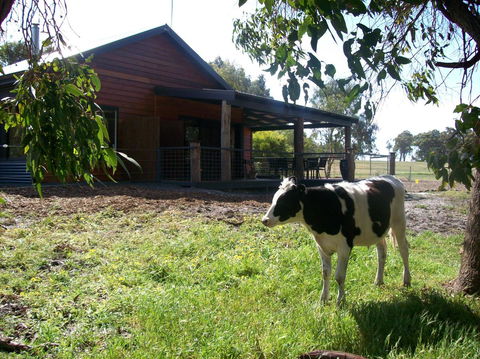 SilverSprings Spa Retreat Pet Friendly Cottages And Glampings - Tourism Brisbane 23
