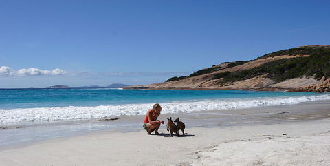 Esperance YHA - Tourism Brisbane 19