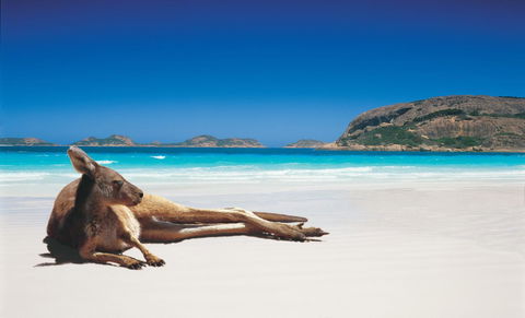 Esperance YHA - Tourism Brisbane 14