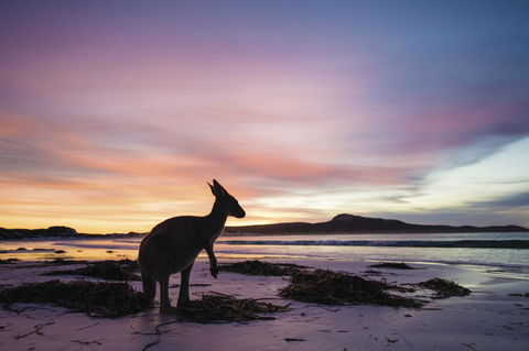 Esperance YHA - Tourism Brisbane 20